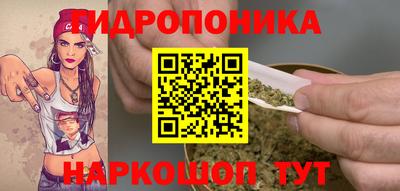 гидра Лесосибирск