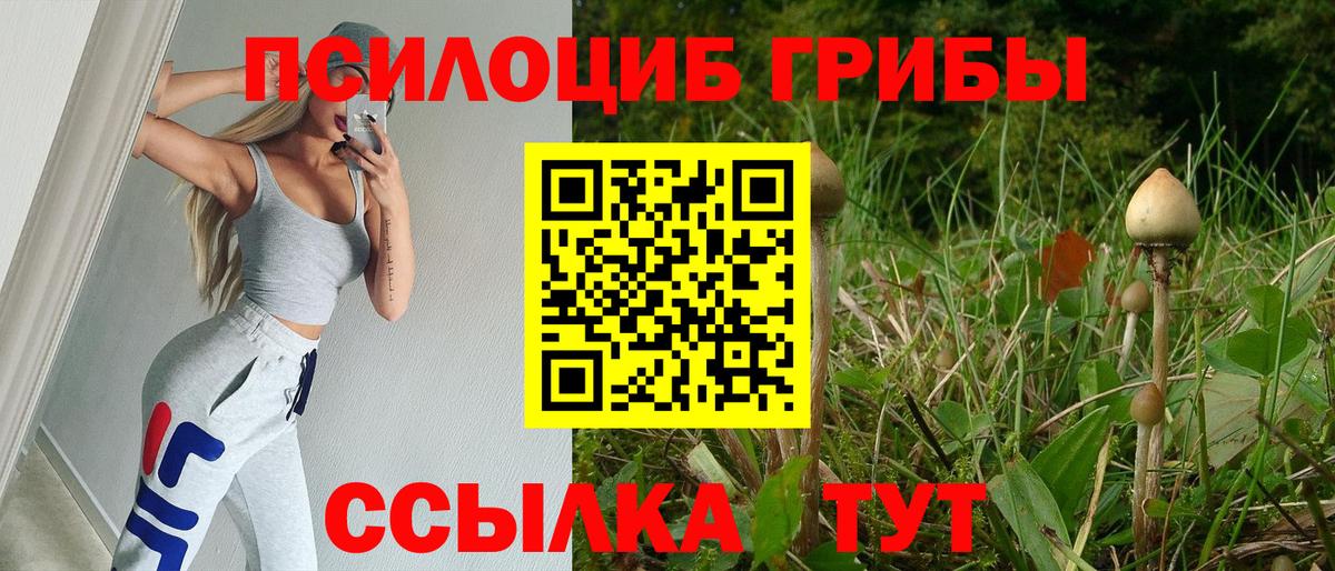 Галлюциногенные грибы прущие грибы  Еманжелинск 