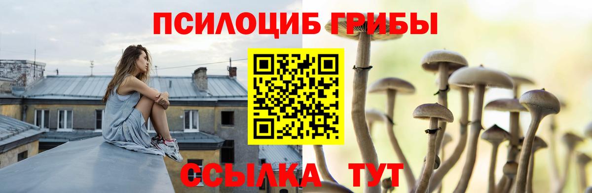 Галлюциногенные грибы GOLDEN TEACHER Еманжелинск